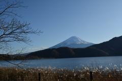 河口湖から