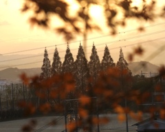 6DEA9544-4486-471C-A9E6-26AE2C756231