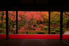 特等席にようこそ　圓光寺