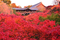 東福寺にて