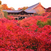 東福寺にて