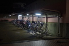 眠る自転車たち