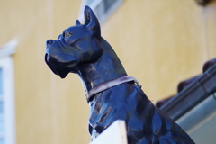 犬