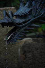 水遊び