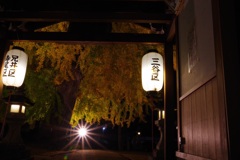 横顔