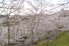 DSC_0013 - コピー