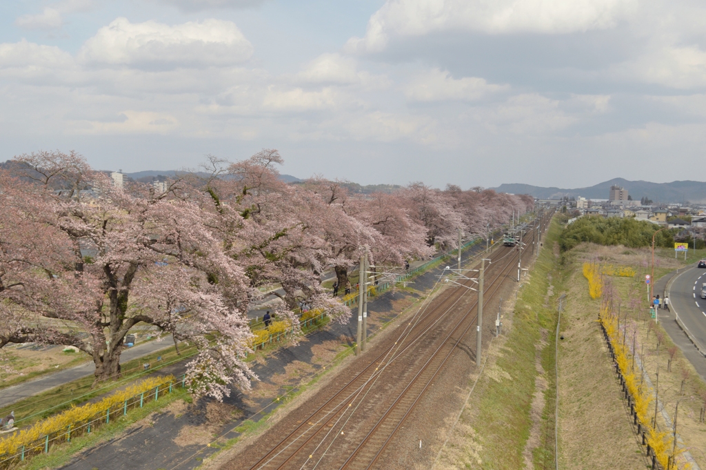 DSC_0101 - コピー