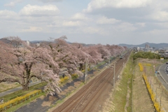 DSC_0101 - コピー