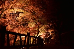 一生守り続けなければならないもの