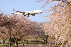 さくらの山公園①