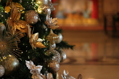 Christmas tree②