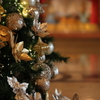 Christmas tree②