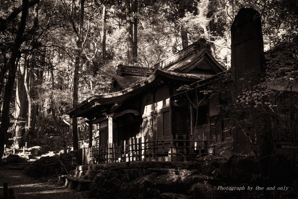 成田山公園　洗心堂　 B&W Sepia