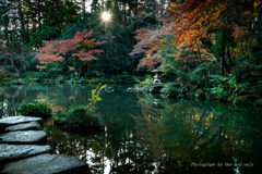 成田山公園　文殊の池