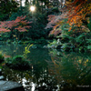 成田山公園　文殊の池