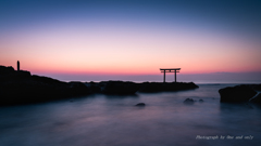 神磯の鳥居　朝景