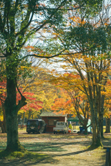 紅葉