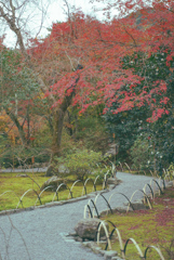 龍安寺庭園