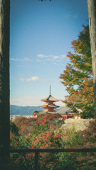 京都