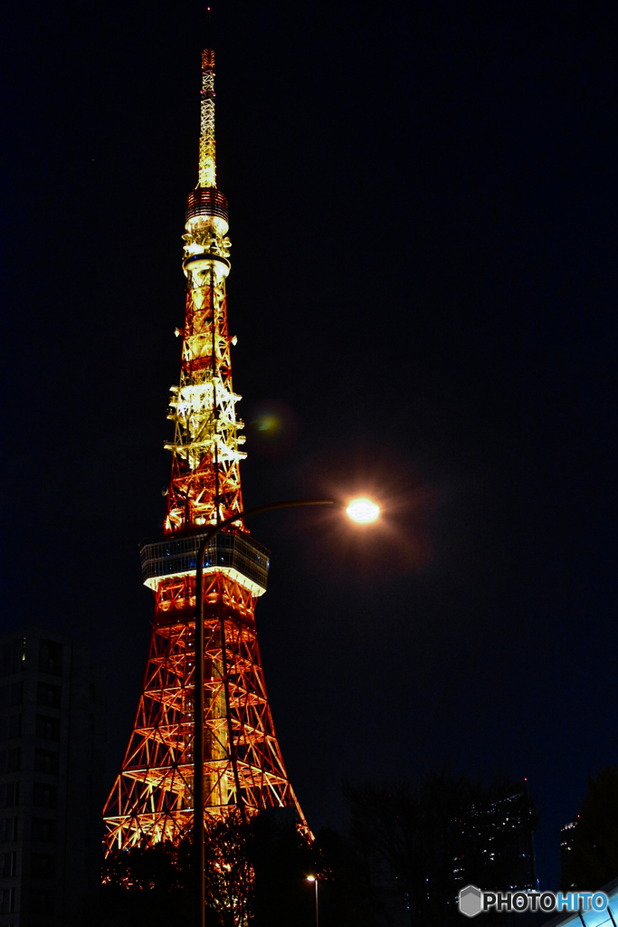 東京タワー