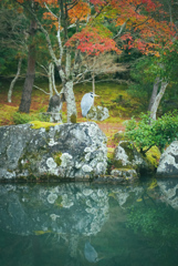 龍安寺庭園