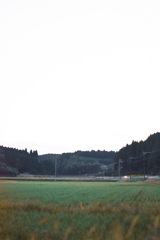 田んぼ
