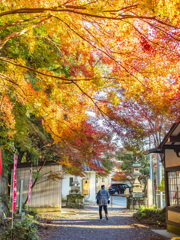 紅葉
