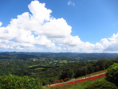 夏空