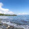海