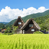 夏の白川郷