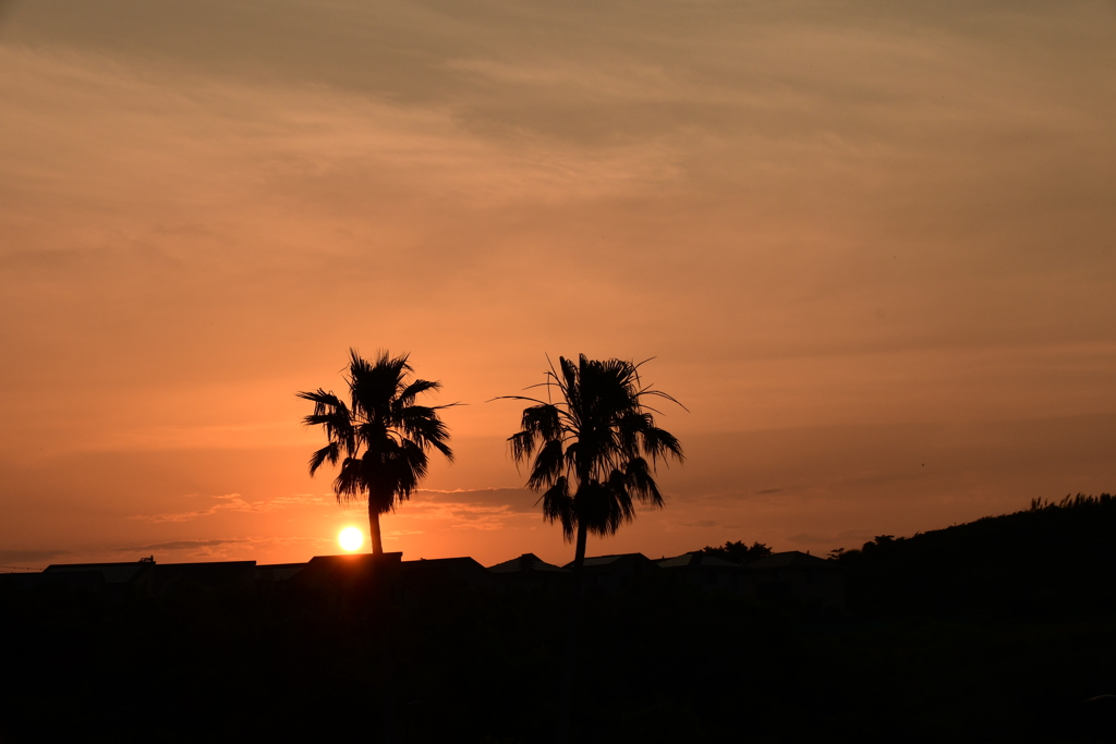 夕焼け