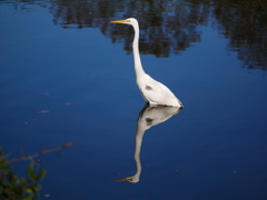 20113018