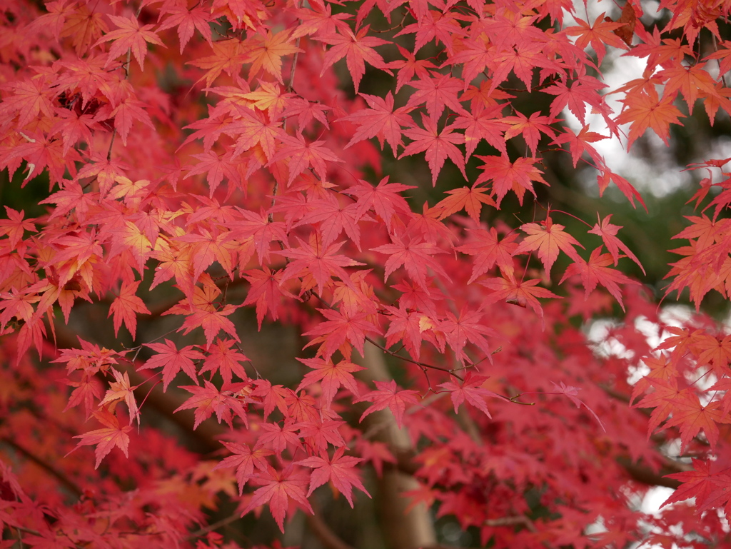 2012091