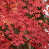 2012091