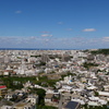 2010243