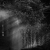 2008242