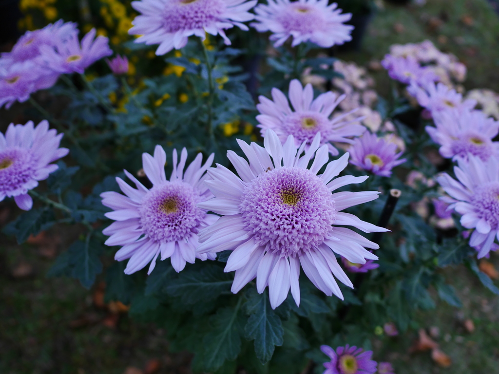 2011051