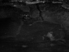 水滴 2004145