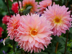 2010143
