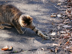 2010277