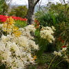 20100135