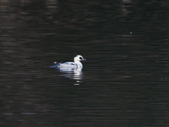 2012245