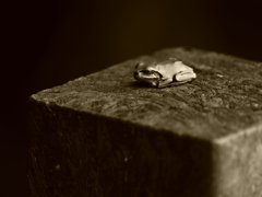 20091614