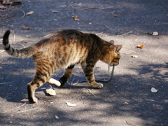 2010275
