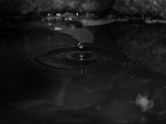 水滴 2004144