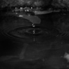 水滴 2004144