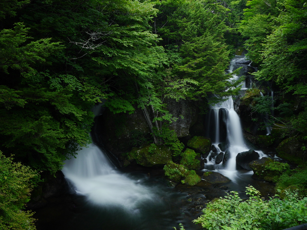 風景 2008285