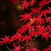 2011306