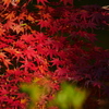 2011302