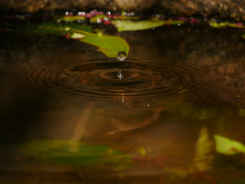 水滴 2004142